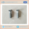 Fish Bolts with Square or Hexagon  head